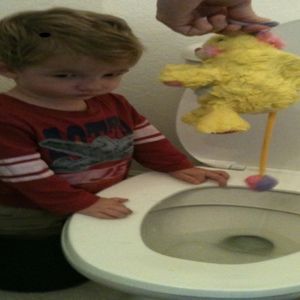 Meet your Posher, Everly